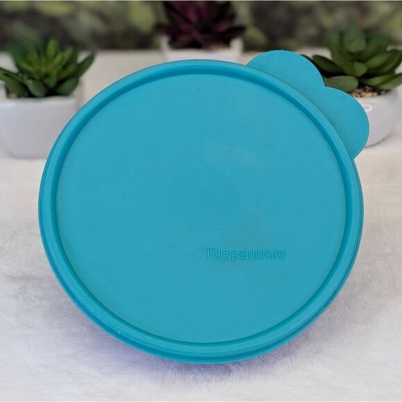 Tupperware TupperCare 2552A-2 Microwave Reheatable Divided Dish w/ 2541A-11 Lid - Picture 2 of 9